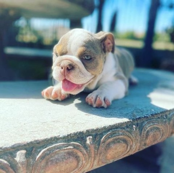 Meet your Posher, Peter - Picture 1 of 1